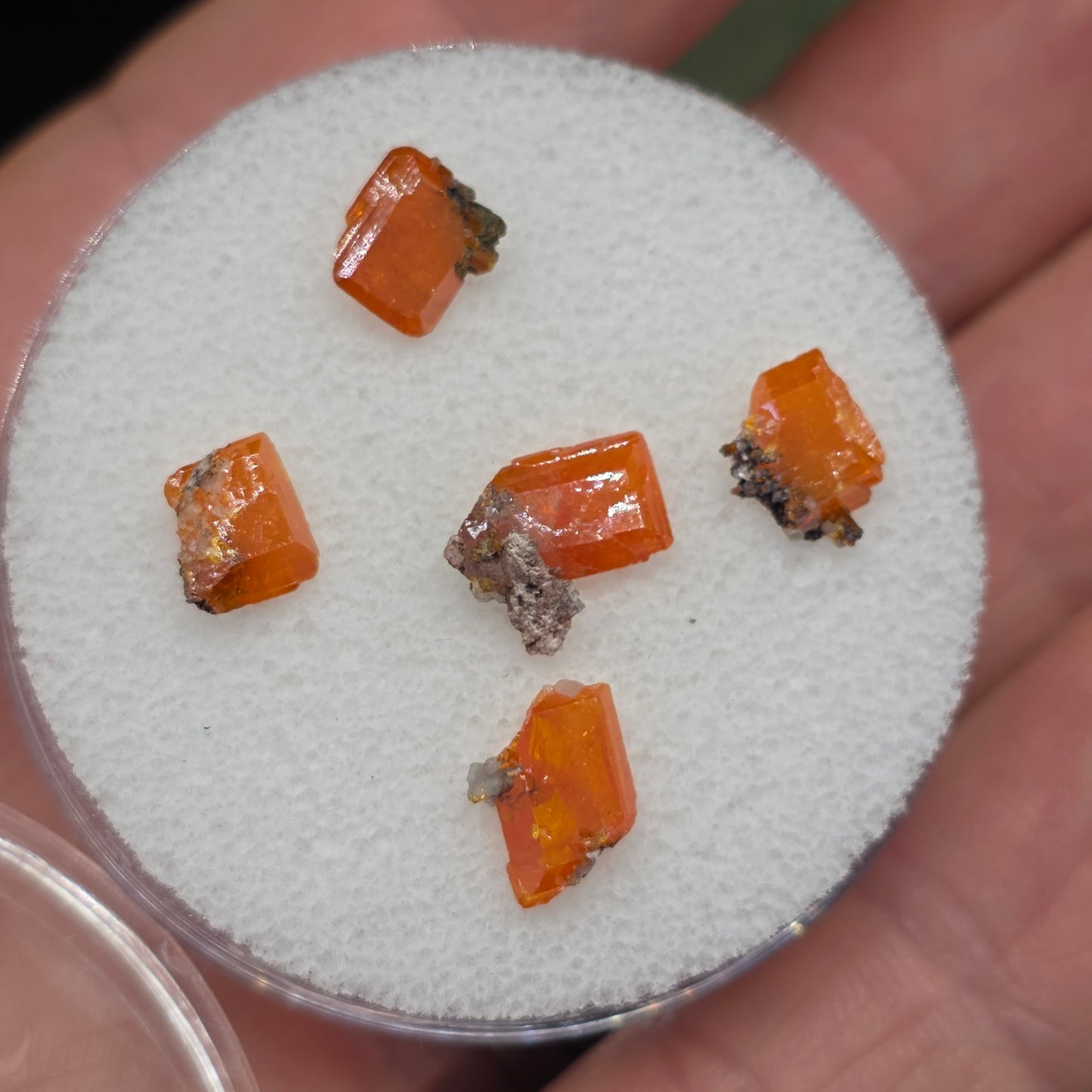 Arizona Wulfenite Gem Jar | 5 Orange Crystals | Red Cloud Mine | La Paz County | Arizona | Raw Stones