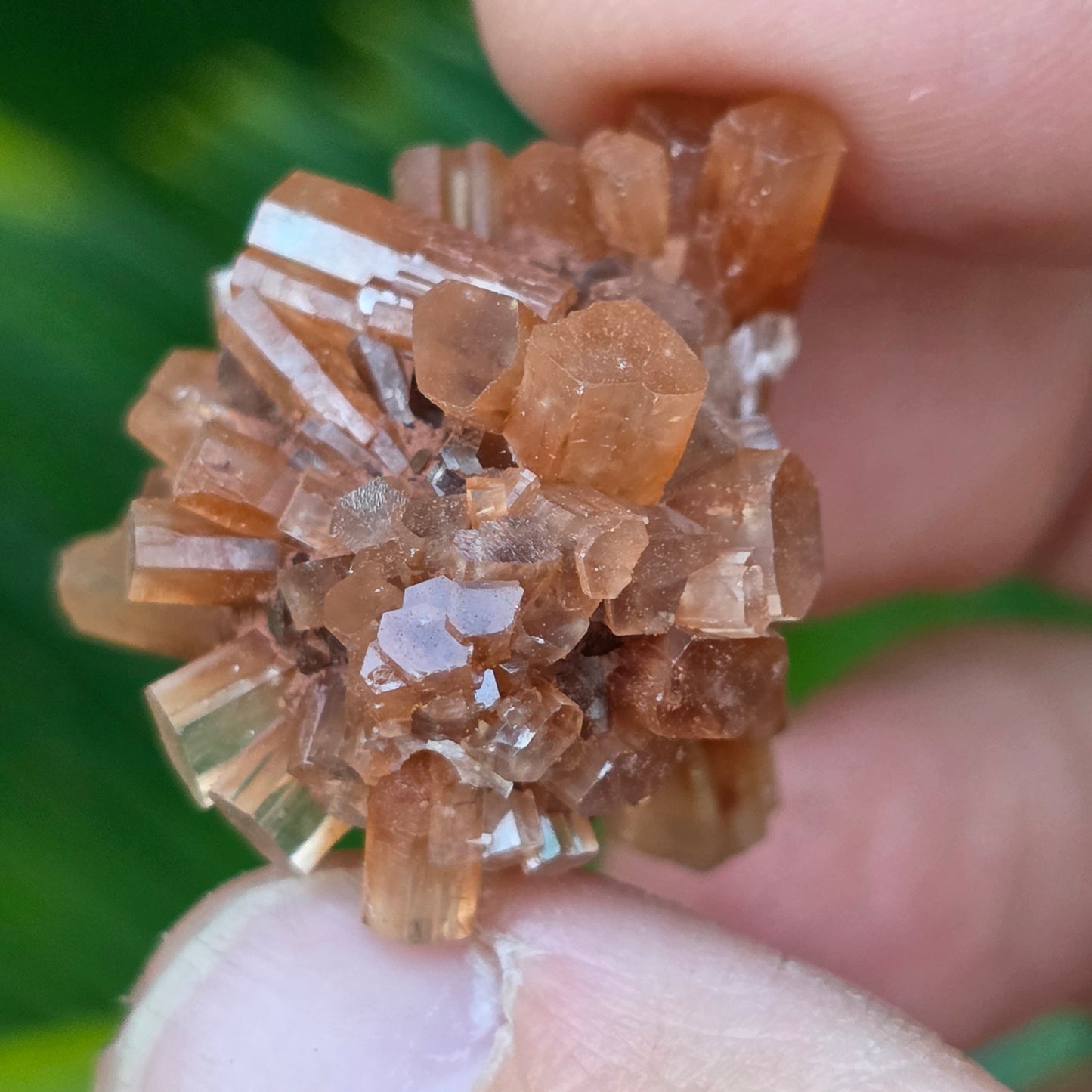 Aragonite Cluster Rock Specimen | Raw Natural Crystal Mineral | 11.34 g