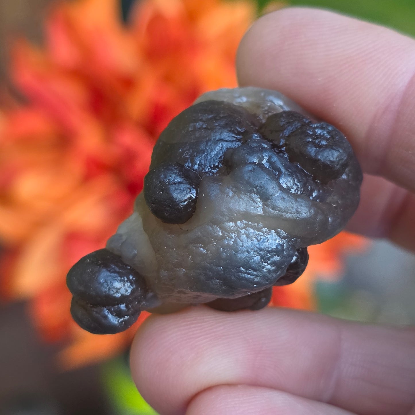 Truffle Chalcedony Rock Specimen, Raw Natural Mineral with Botryoidal Shape from Morocco
