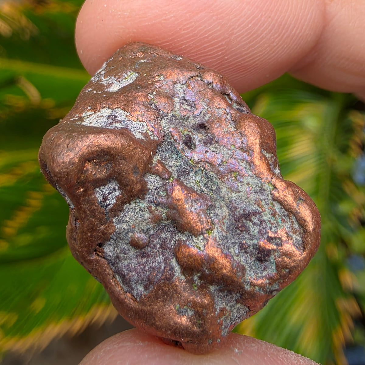 Native Michigan Copper - Rock Specimen from the Keweenaw Peninsula