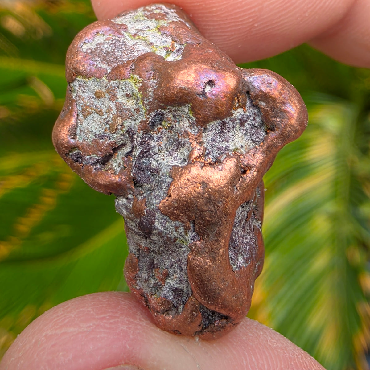 Native Michigan Copper - Rock Specimen from the Keweenaw Peninsula