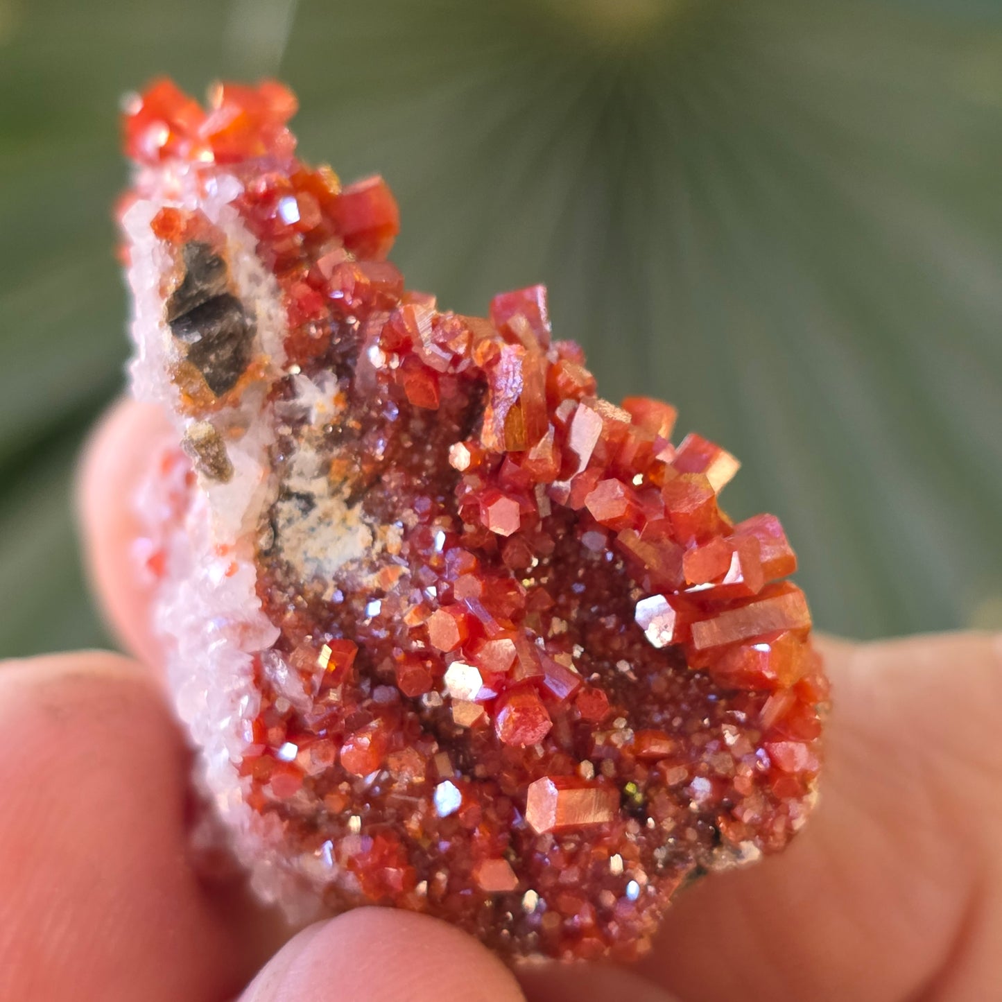 Arizona Vanadinite Rock | Red Crystals | La Paz County | Arizona | Raw Stone