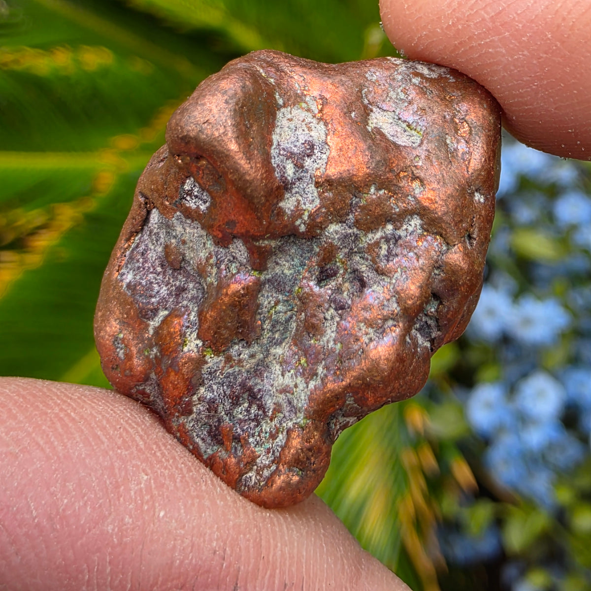 Native Michigan Copper - Rock Specimen from the Keweenaw Peninsula