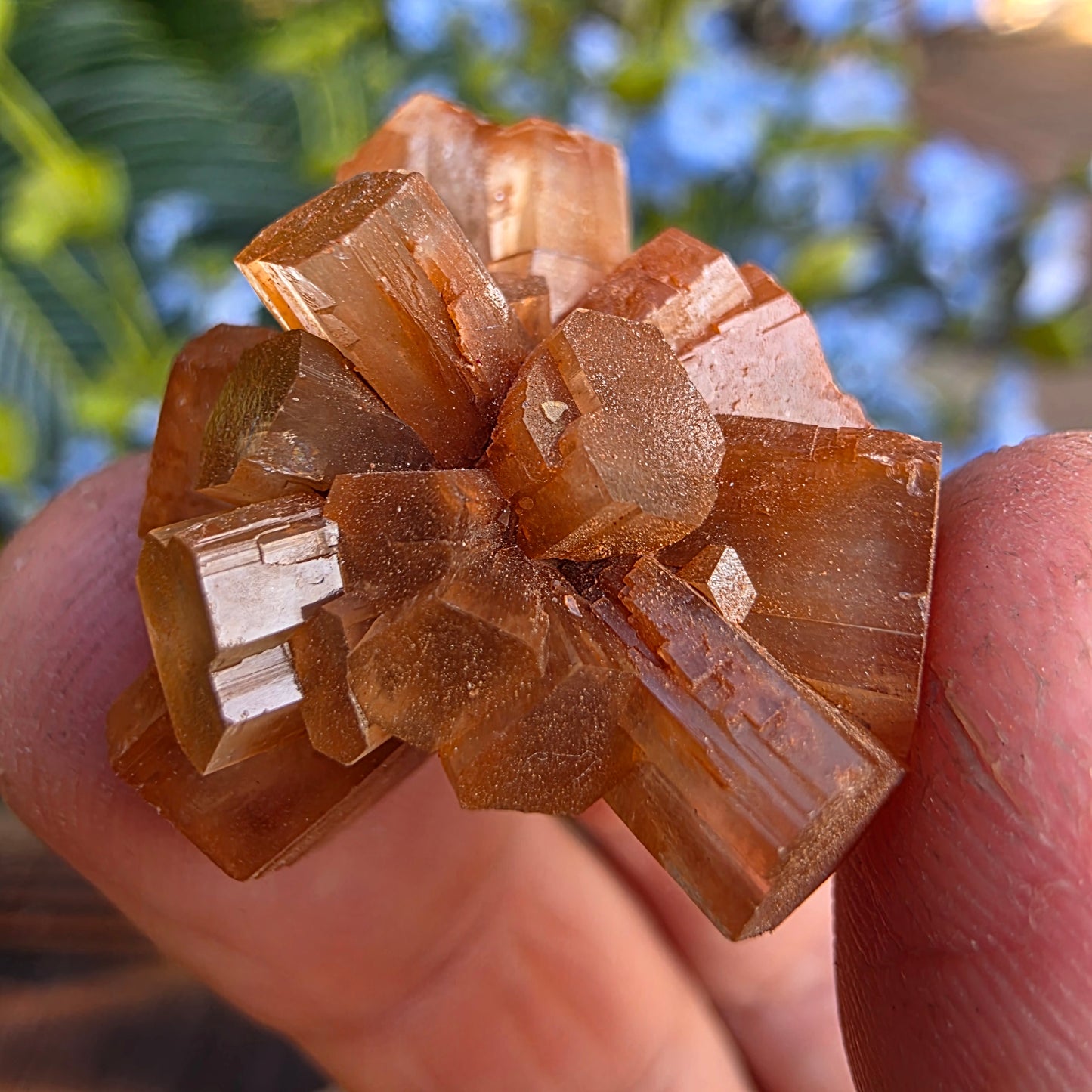 Aragonite Cluster Rock Specimen | Raw Natural Crystal Mineral | 11.72 g