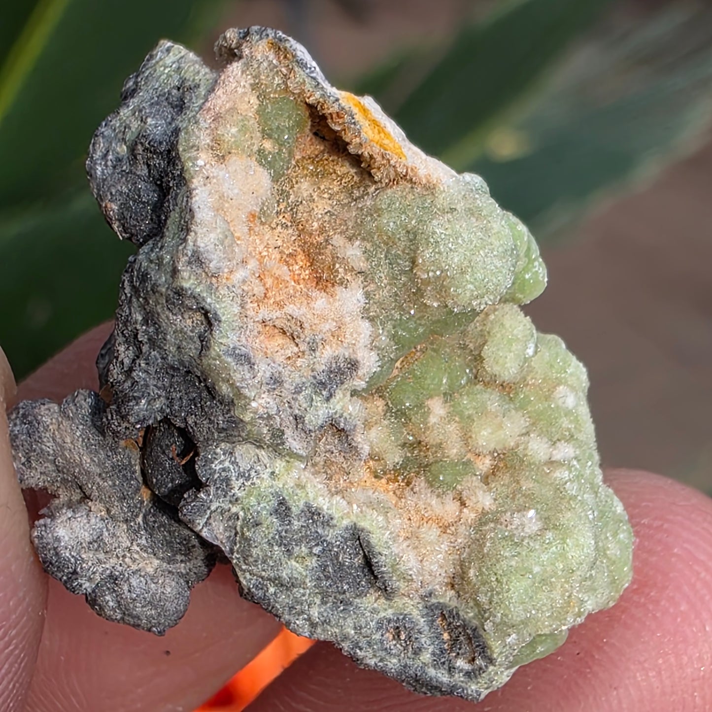 Green Wavellite Rock Specimen | Mauldin Mountain, Arkansas | Raw Stone