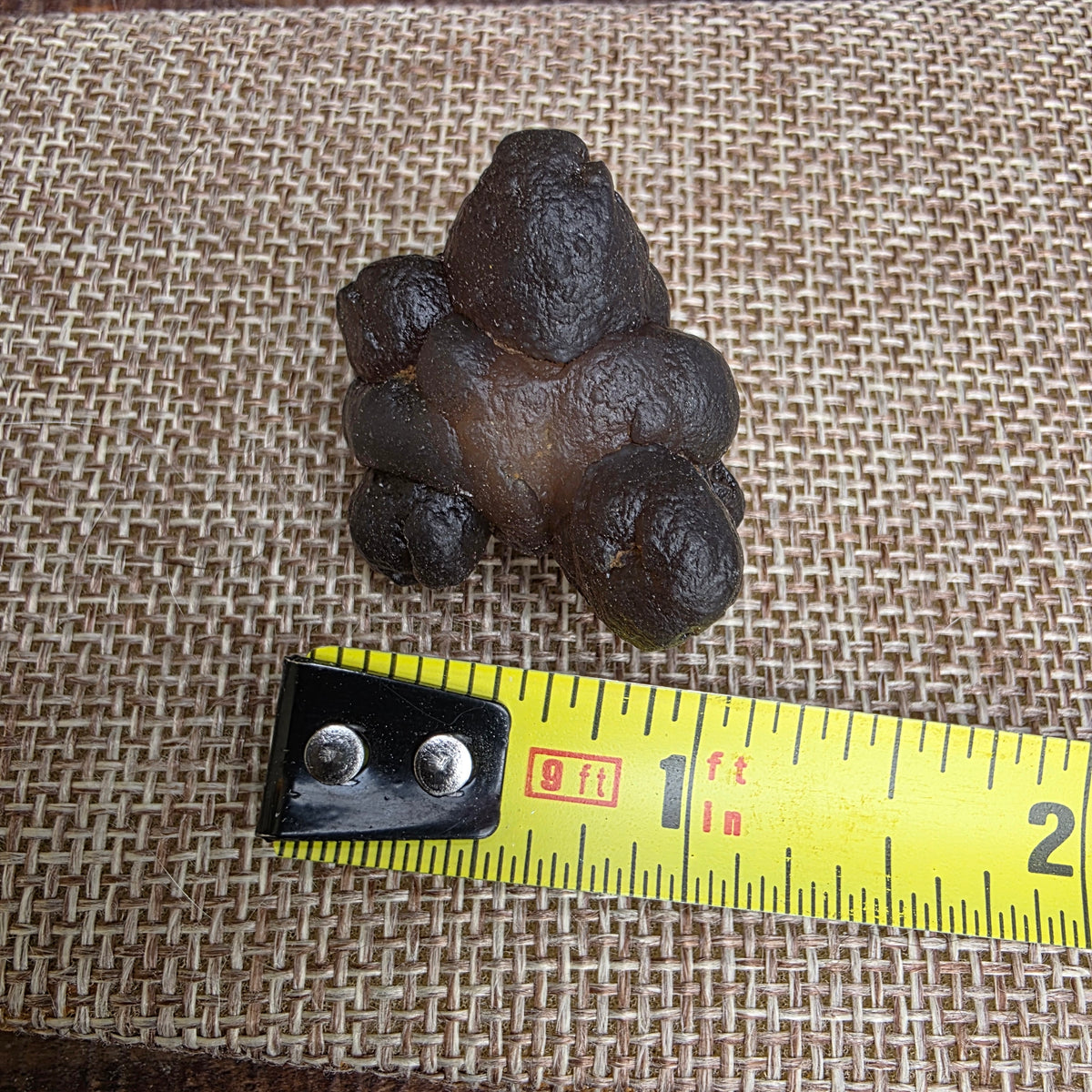 Truffle Chalcedony Rock Specimen, Raw Natural Mineral with Botryoidal Shape from Morocco