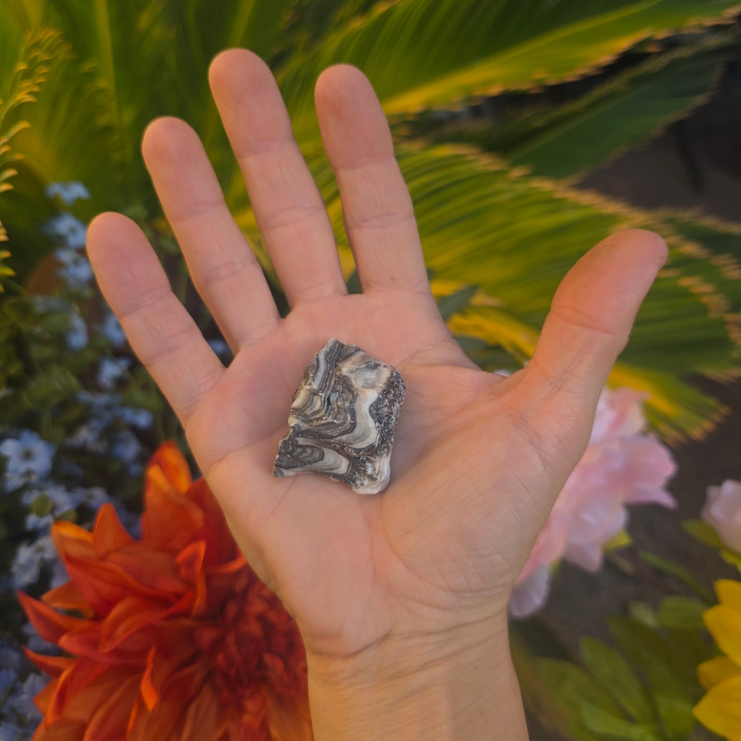 Zebra Calcite Rock Specimen | Natural Crystal Mineral | 27 Grams
