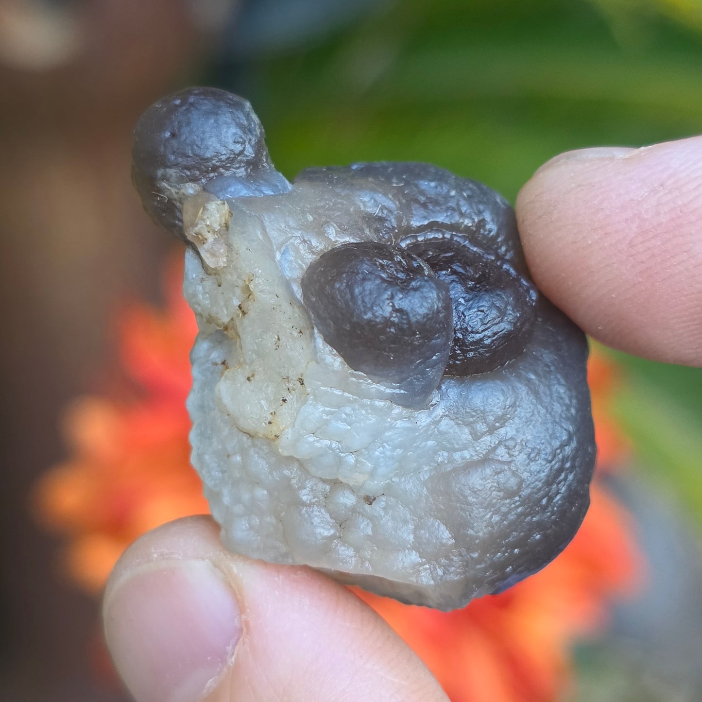 Truffle Chalcedony Rock Specimen, Raw Natural Mineral with Botryoidal Shape from Morocco