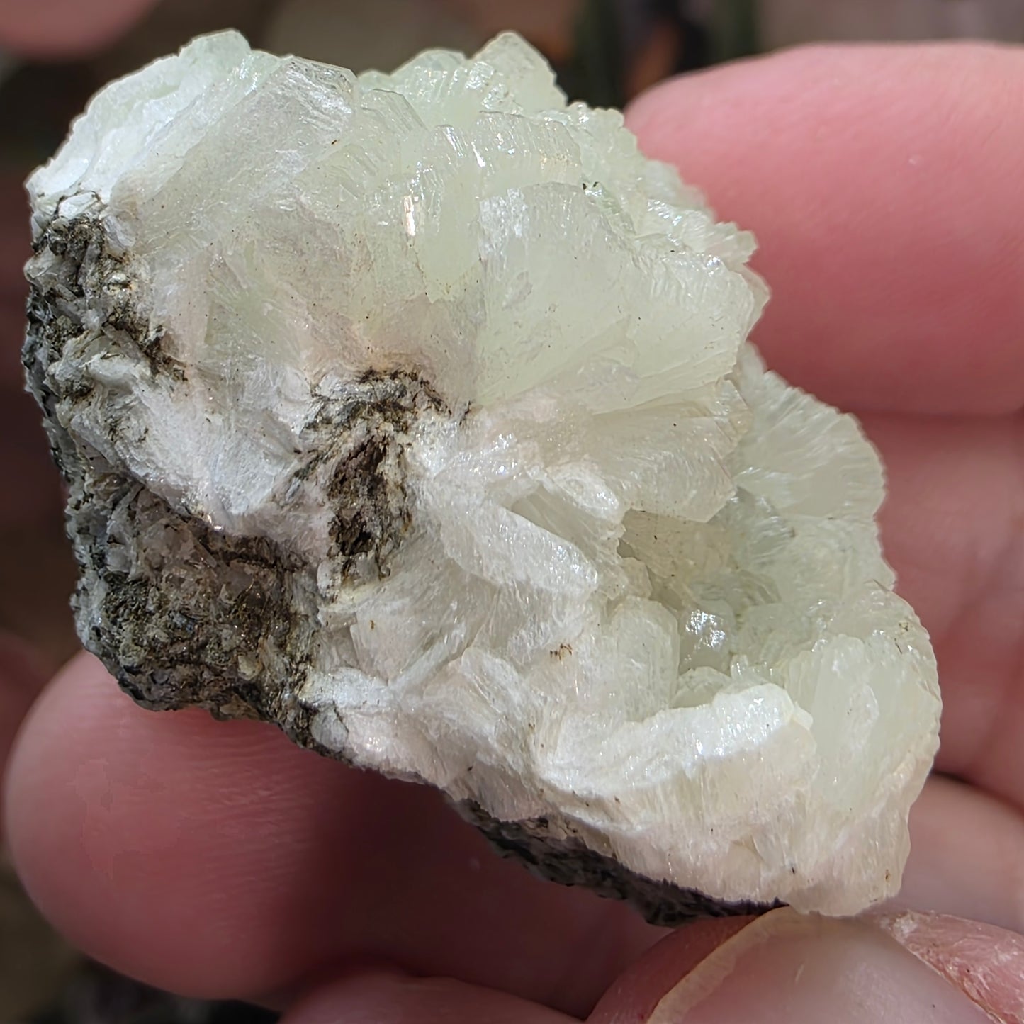 Light Green Prehnite Rock Specimen: Crystal Cluster from Morocco (37.28g)