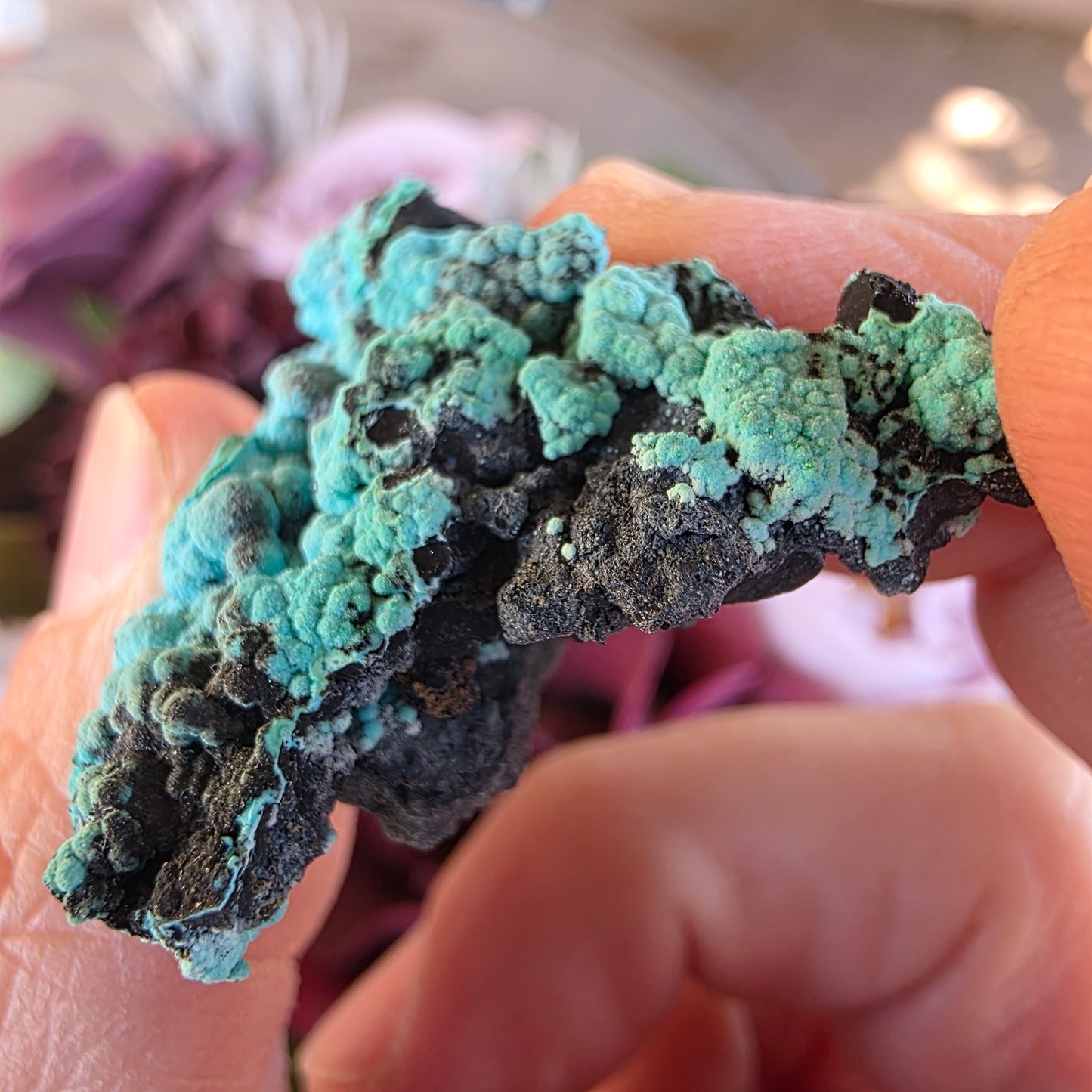 Chrysocolla Rock Specimen | Planet Mine, Arizona | Natural Raw Blue Color Stone | 5.12 g