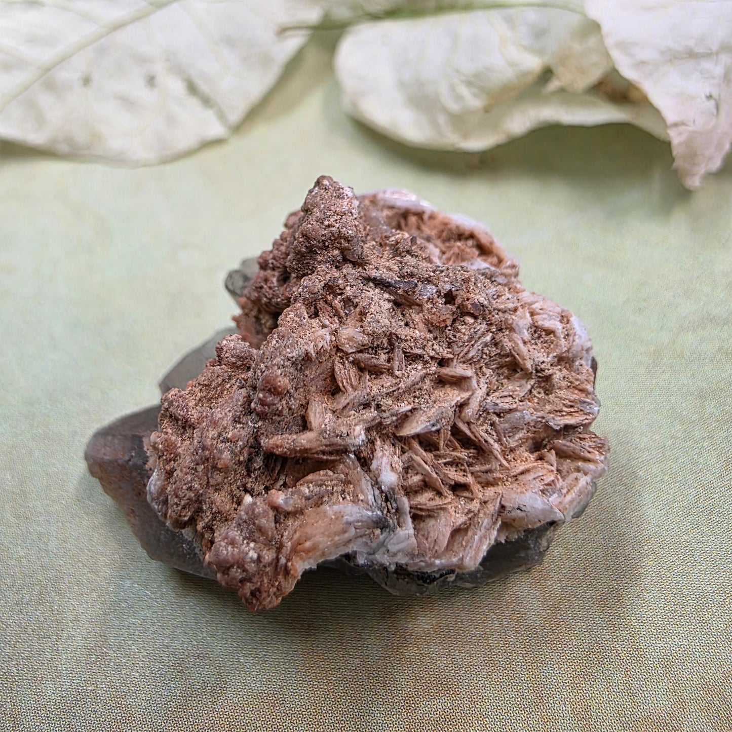 Arizona Fluorite Rock | La Paz County | AZ | Raw Stone | Fluorescent Mineral