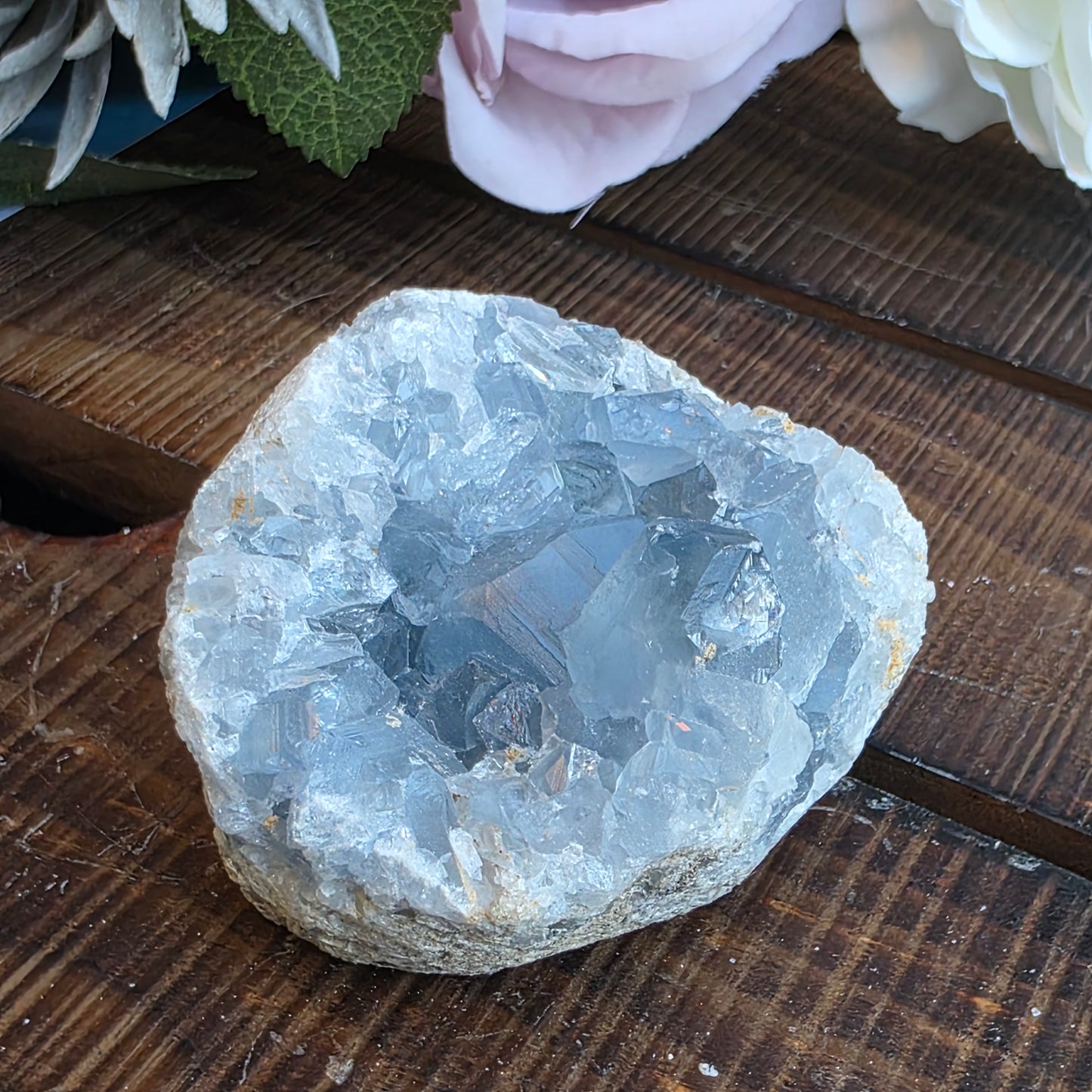 Celestite Crystal Rock Specimen |  Natural Blue Mineral | 238 g