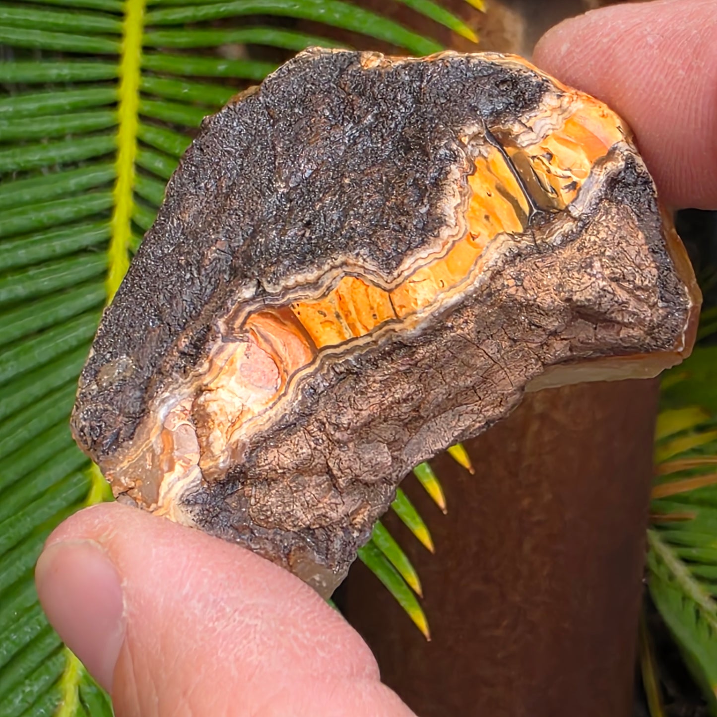 California Jasper Chalcedony Agate Specimen: Natural Mule Mountains Rock (53.22 grams)
