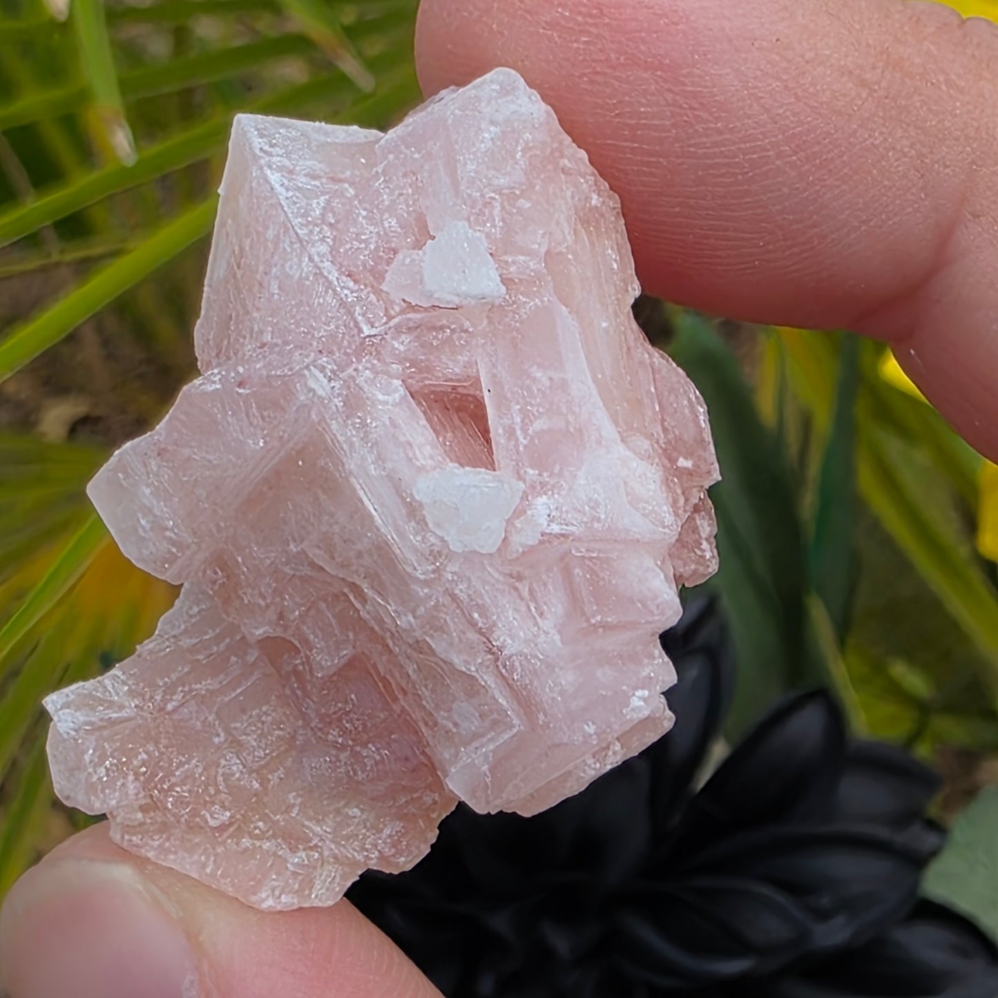 Pink Halite Rock Specimen | Natural Crystal Mineral | 12.67 g