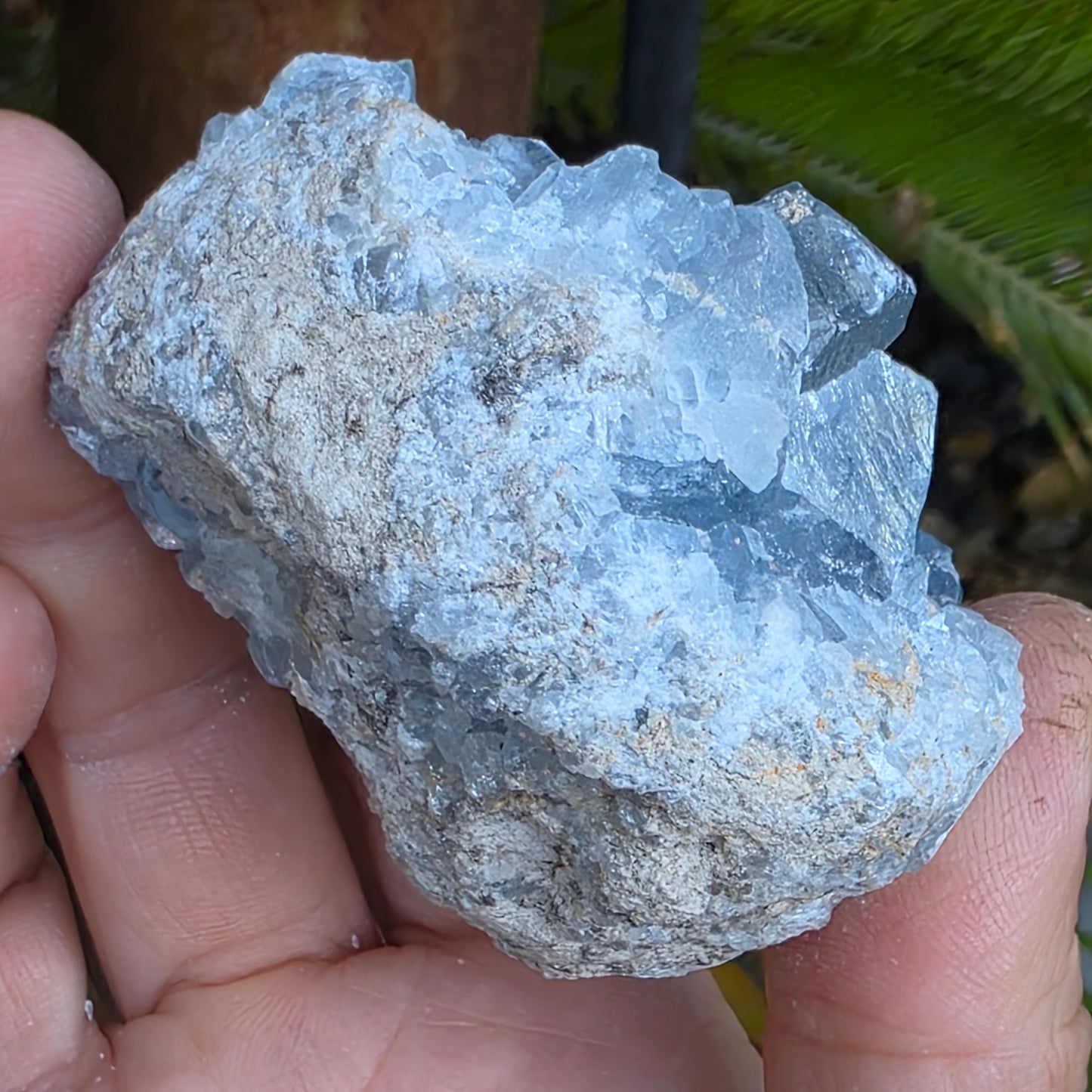 Celestite Crystal Rock Specimen |  Natural Blue Mineral | 238 g