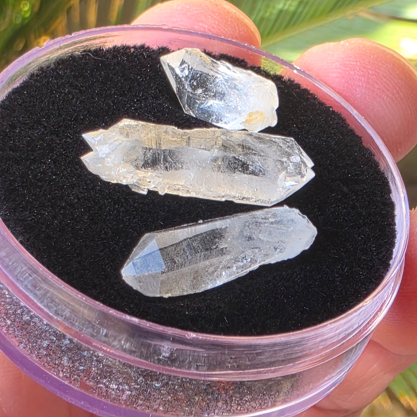 Arkansas Quartz Crystals | Three Small Pieces in a Gem Jar, from Mt. Ida